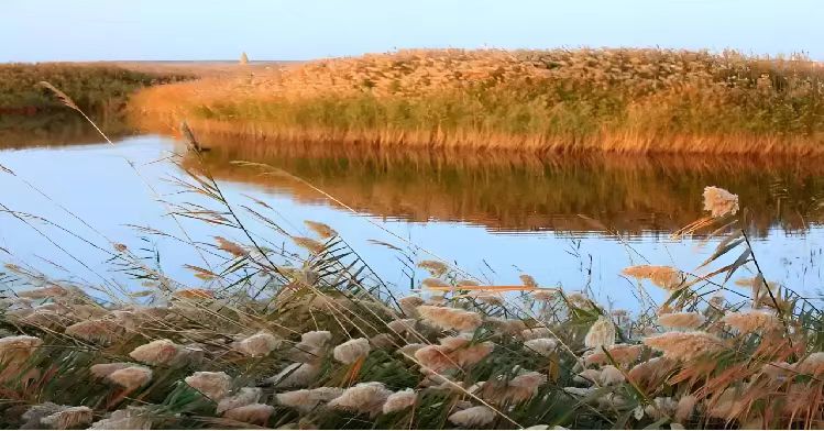 履帶式雙節(jié)森林草原(蘆葦)消防滅火全地形車